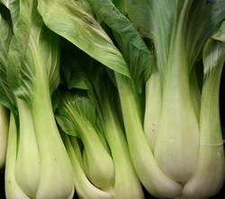 Bok Choy - Baby 